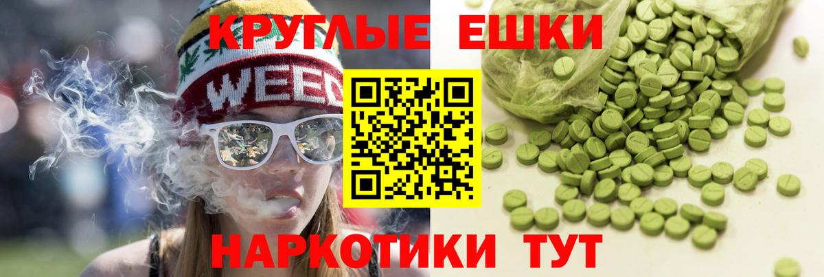 МЕФ Каменка