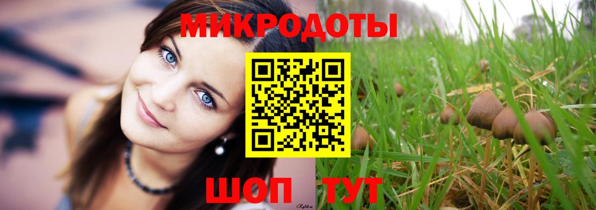 Галлюциногенные грибы Psilocybine cubensis  Галлюциногенные грибы мицелий  Вход с VPN  Каменка 